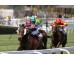 Carrera: P.Indian Prince Monta: N.de Julián Cuadra: C. E Fernández de Vega